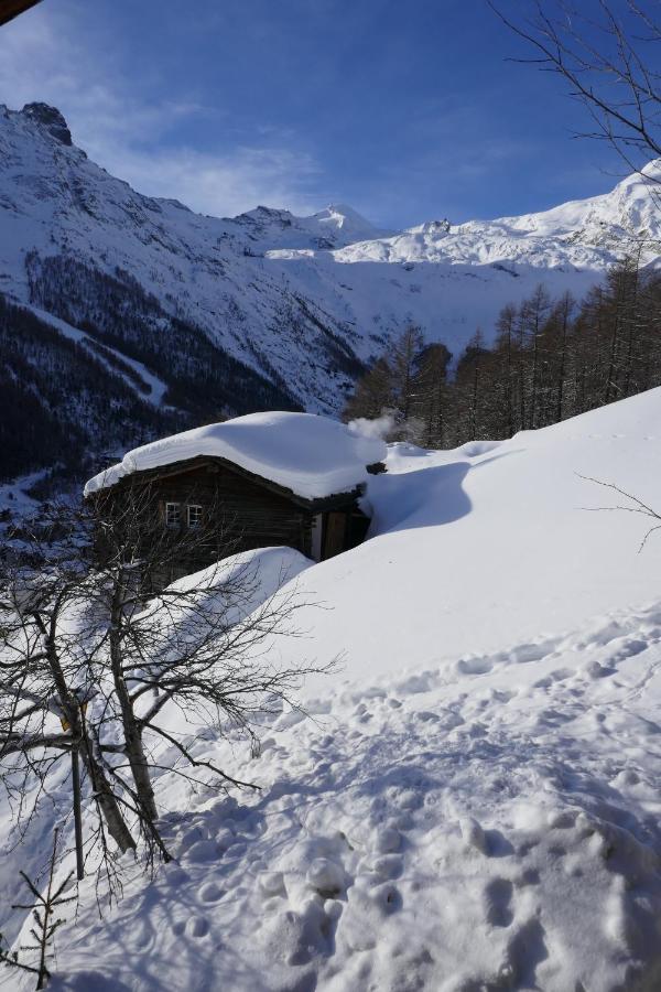 Chalet Birkhahn Saas Fee 외부 사진