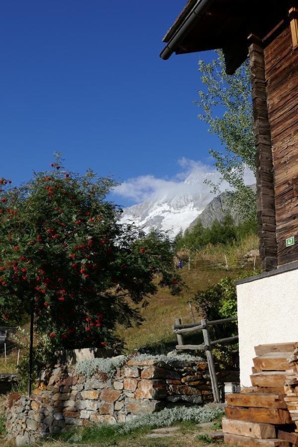 Chalet Birkhahn Saas Fee 외부 사진