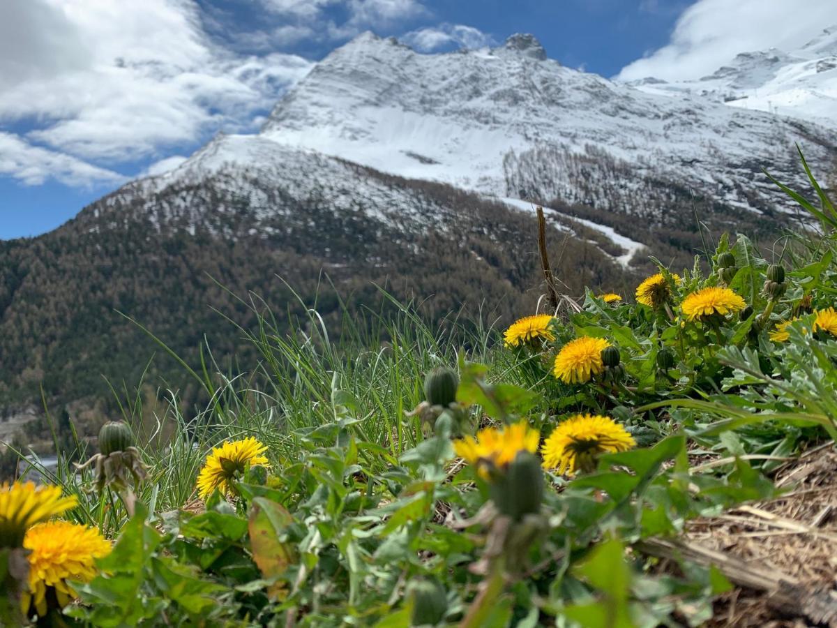 Chalet Birkhahn Saas Fee 외부 사진