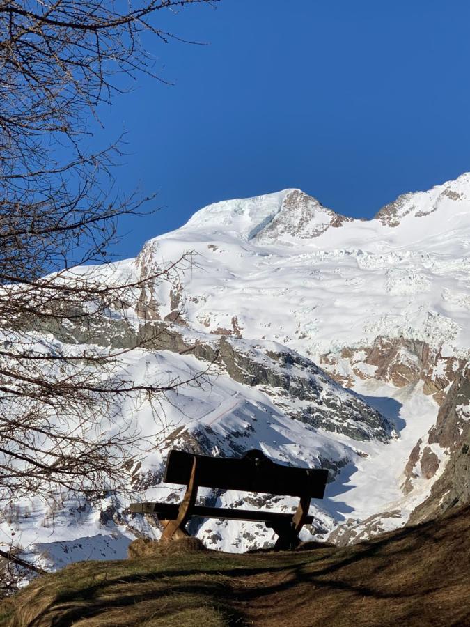 Chalet Birkhahn Saas Fee 외부 사진