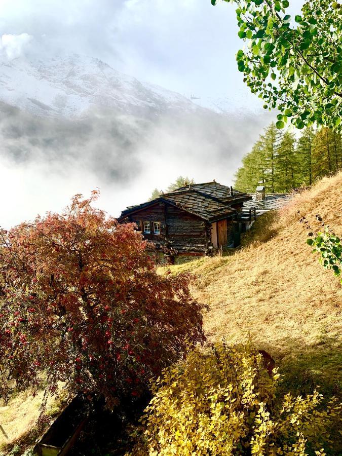 Chalet Birkhahn Saas Fee 외부 사진