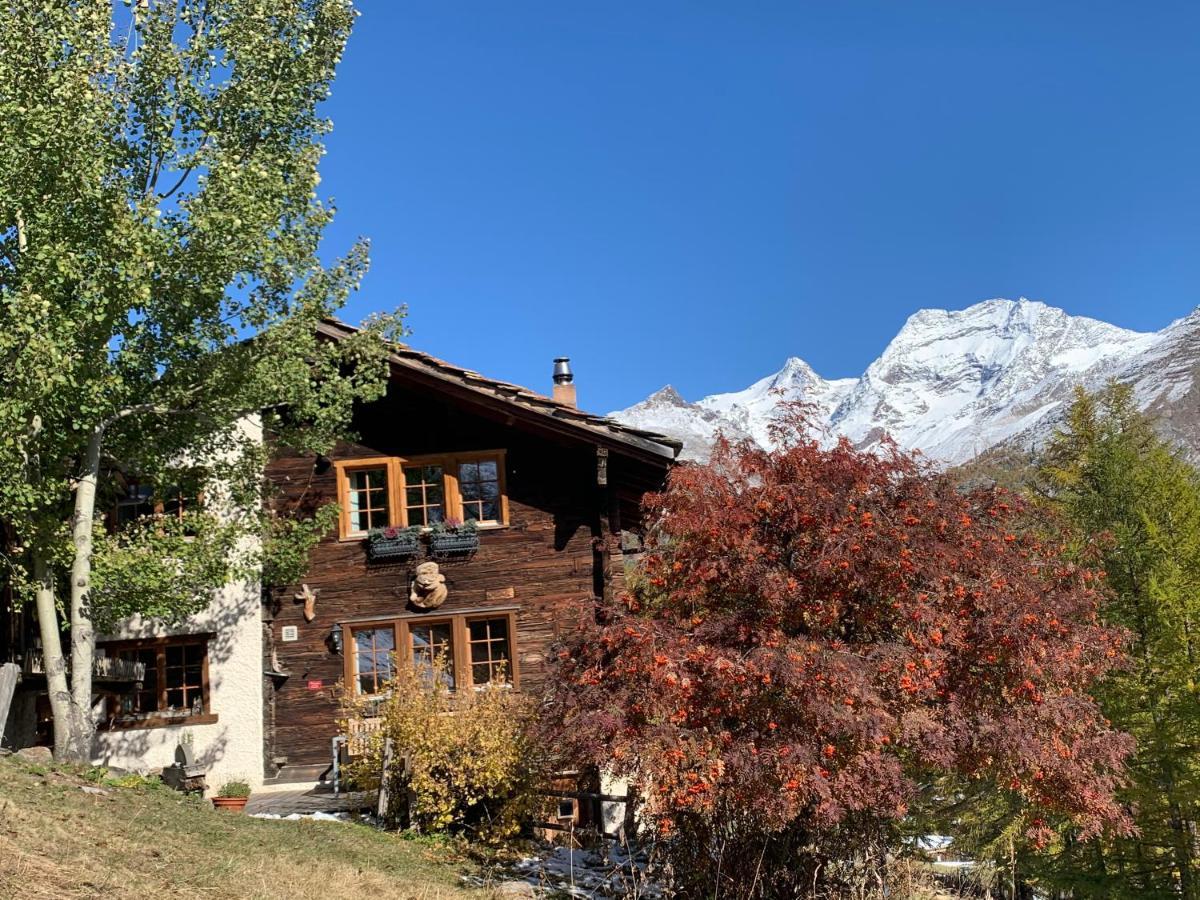 Chalet Birkhahn Saas Fee 외부 사진