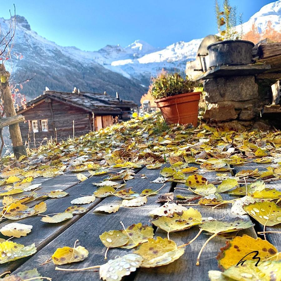 Chalet Birkhahn Saas Fee 외부 사진