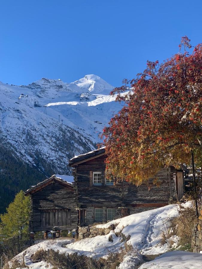 Chalet Birkhahn Saas Fee 외부 사진